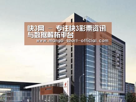 案例展示七