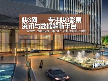 案例展示二