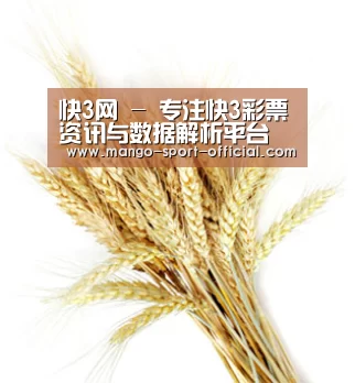 快3网 - 专注快3彩票资讯与数据解析平台