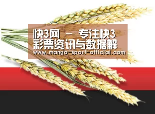 快3网 - 专注快3彩票资讯与数据解析平台