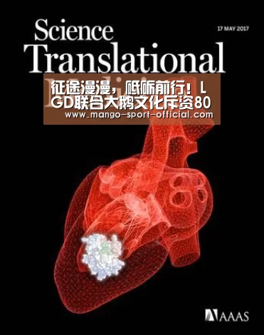 快3网站官网
