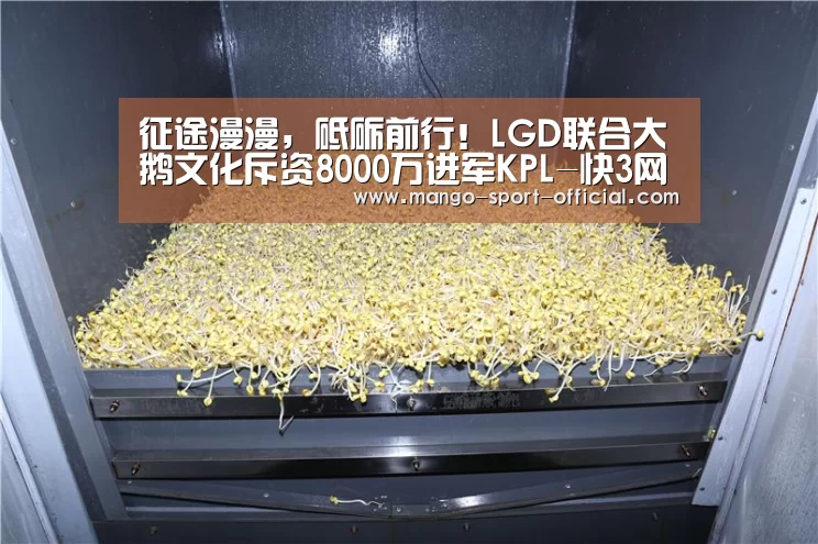 快3网站官网