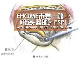 EHOME未尝一败《街头篮球》FSPL职业联赛数据统计:快3网站官网(图3) 快3网站官网