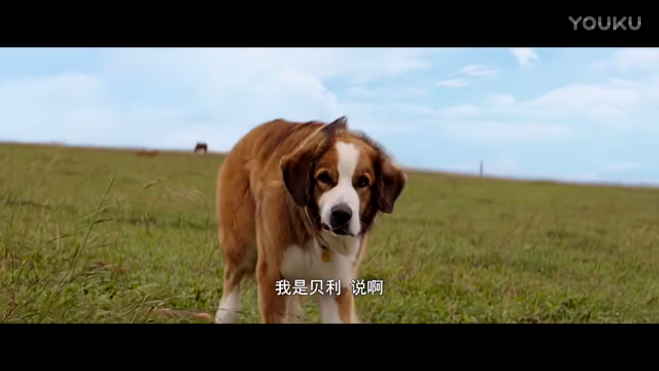 快3网站