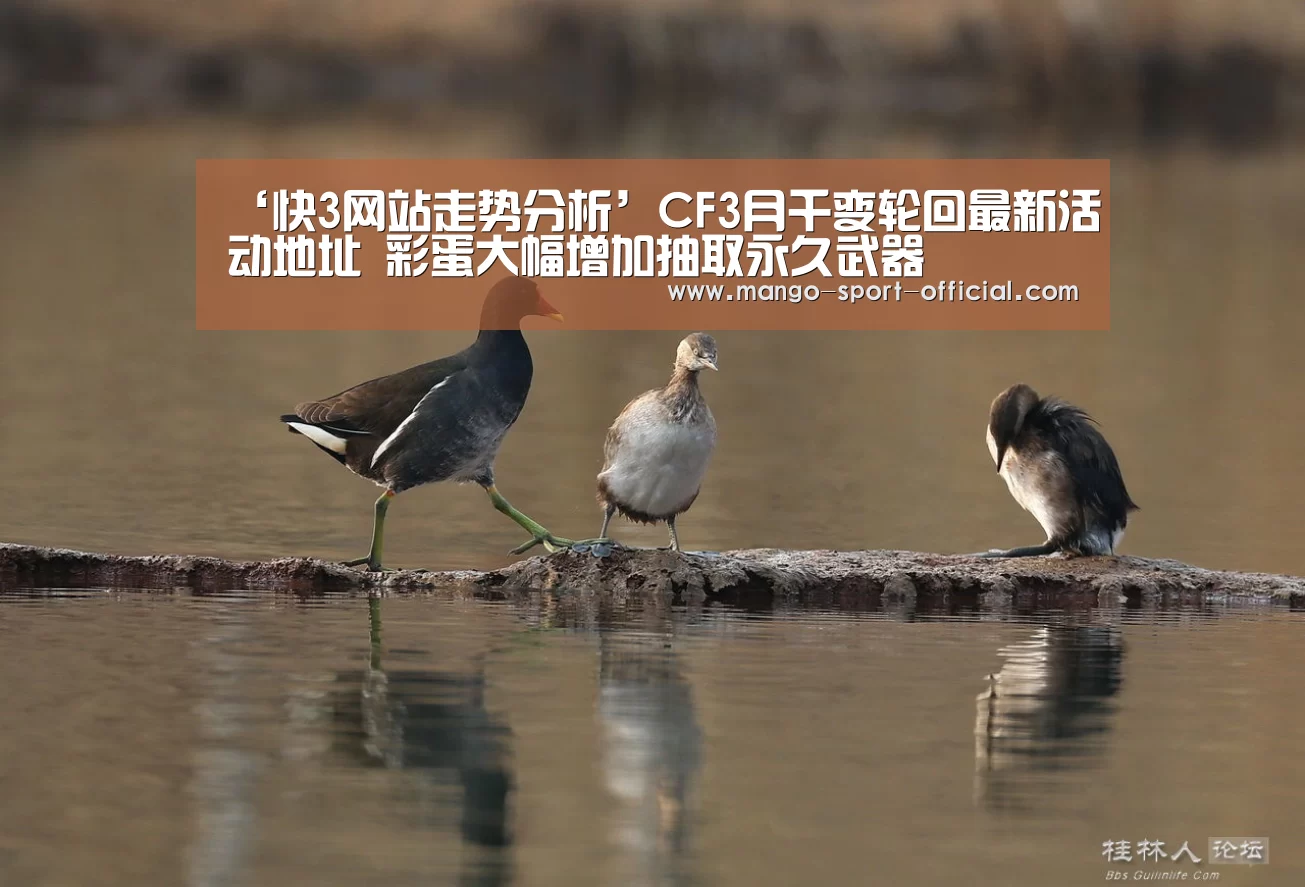 ‘快3网站走势分析’CF3月千变轮回最新活动地址 彩蛋大幅增加抽取永久武器(图1) 快3网站官网
