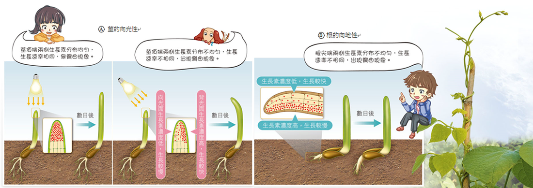 快3网站